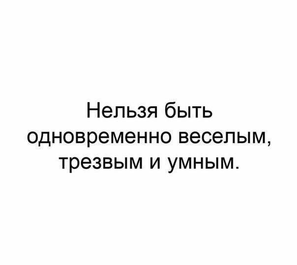 Дилемма века: выбирай два из трех — веселье, ум или трезвость!