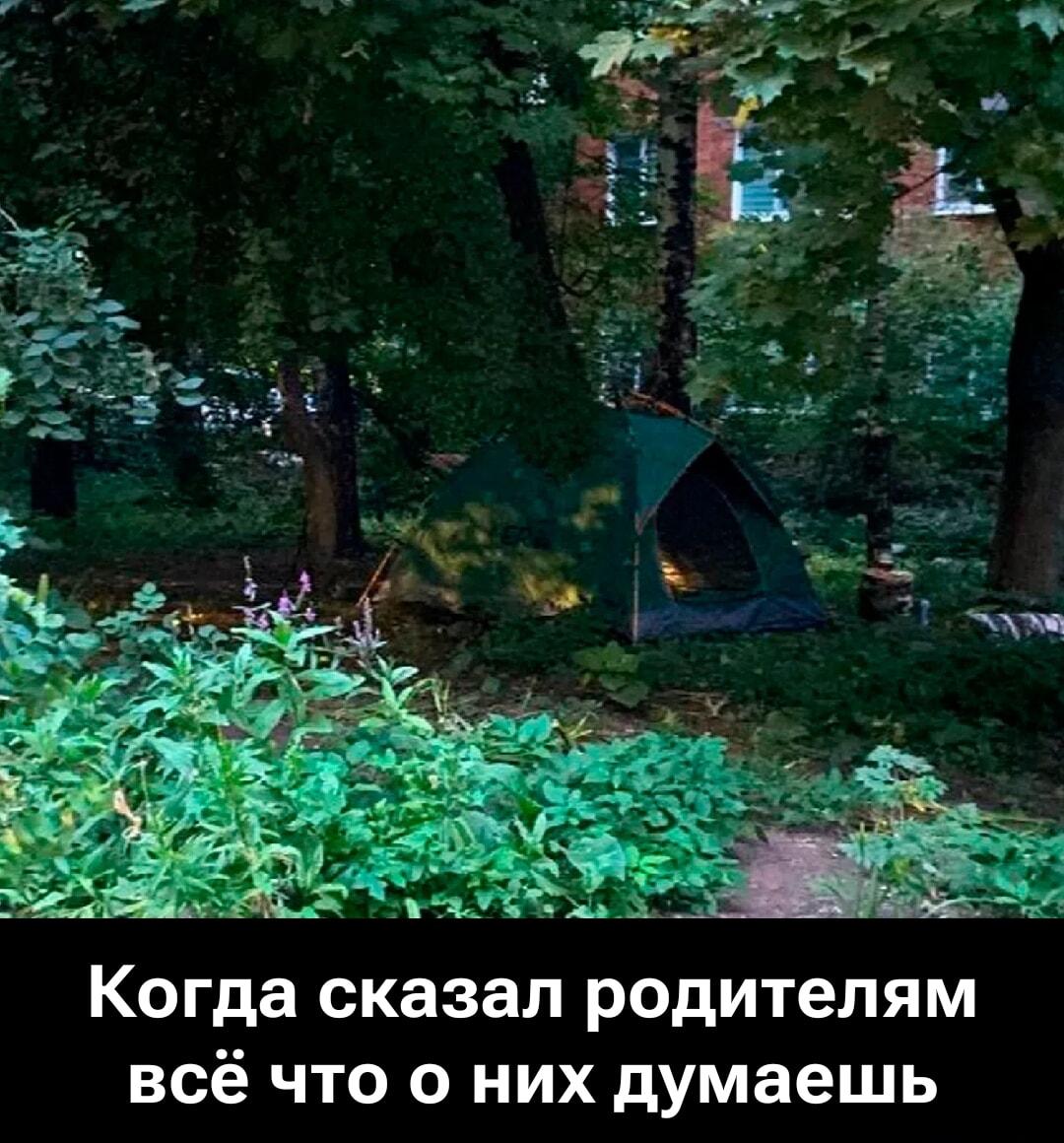 Когда сказал родителям всю правду: теперь твой дом — палатка!