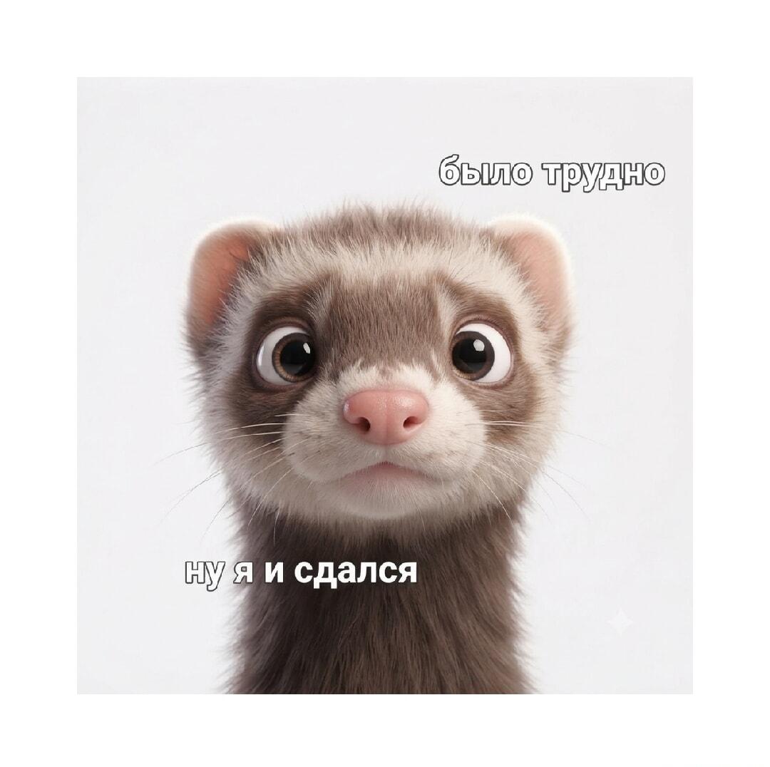 Когда было трудно: милый хорек сдался, и ты тоже!