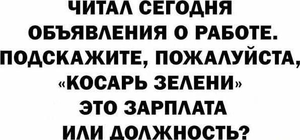 «Косарь зелени»: Зарплата или новая должность?
