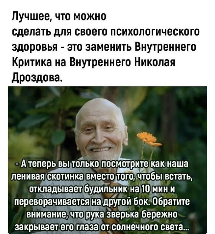 Психологическое здоровье: Дроздов вместо внутреннего критика!