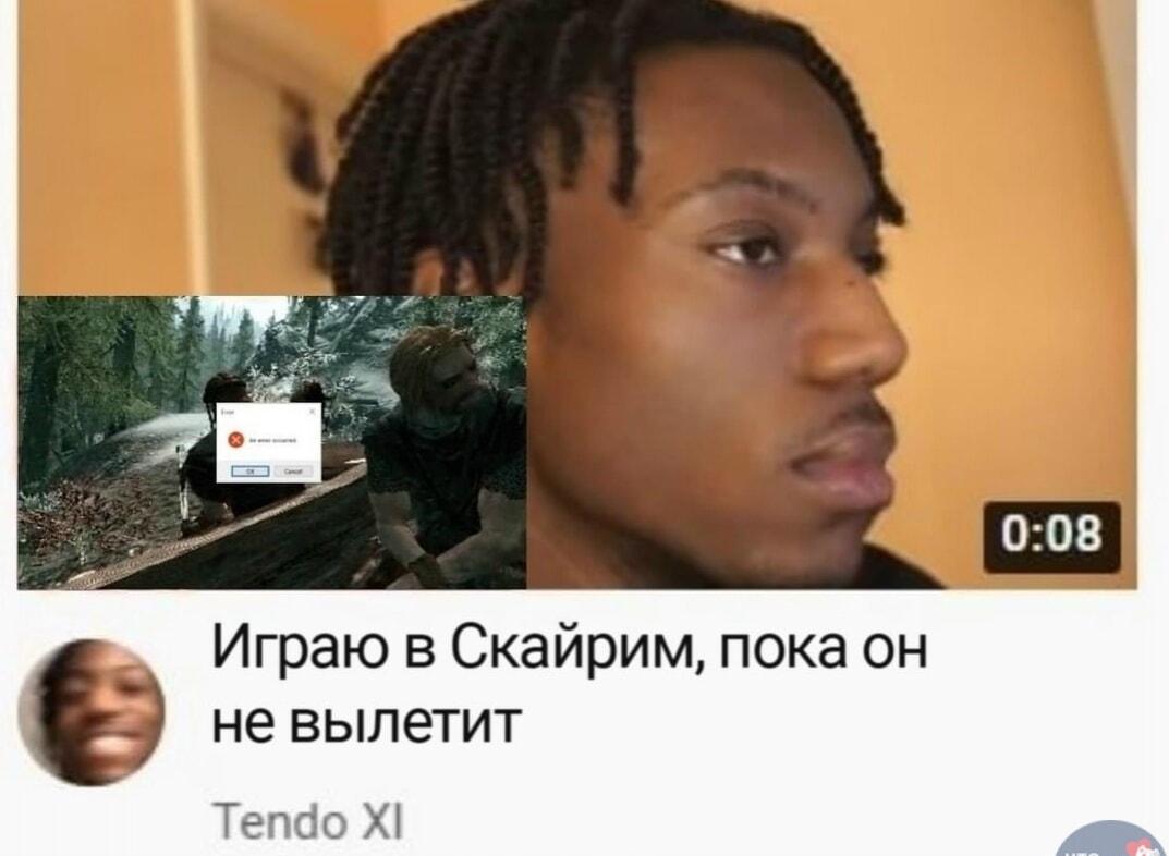 Скайрим: играй до вылета! Геймерская боль в одном меме