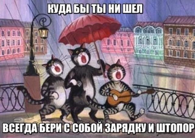 Куда бы ни шёл: главные спутники любого путешественника!