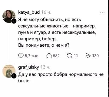 Бобер несексуальный? Этот коммент изменит ваше мнение!