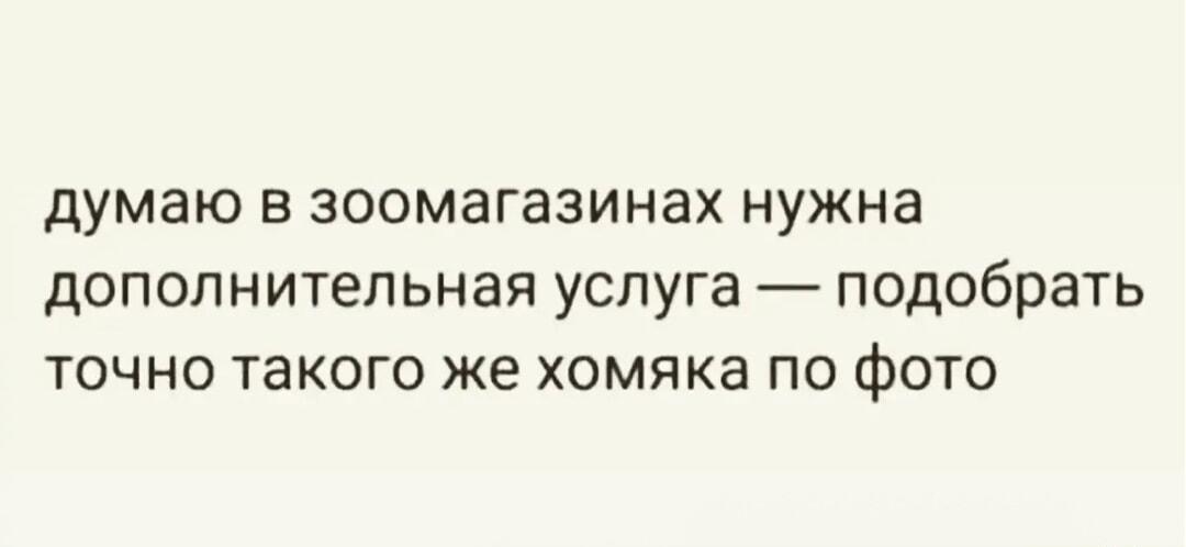 Зоомагазины, мы ждем эту услугу: найти хомяка по фото!