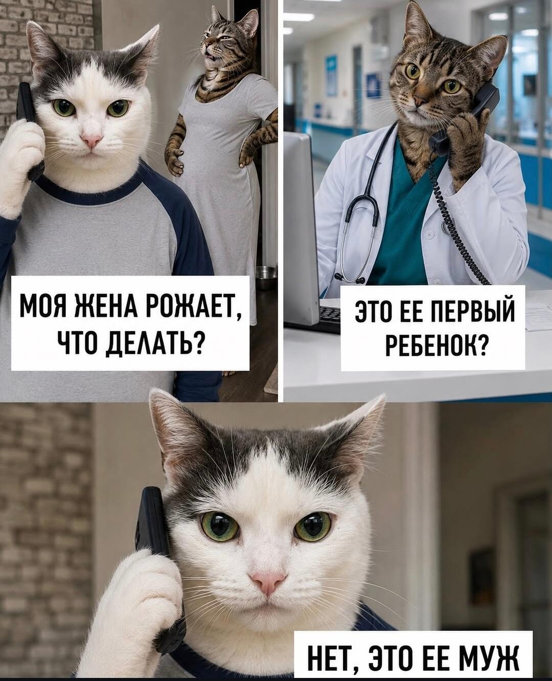 Моя жена рожает! Доктор, это наш первый... муж?