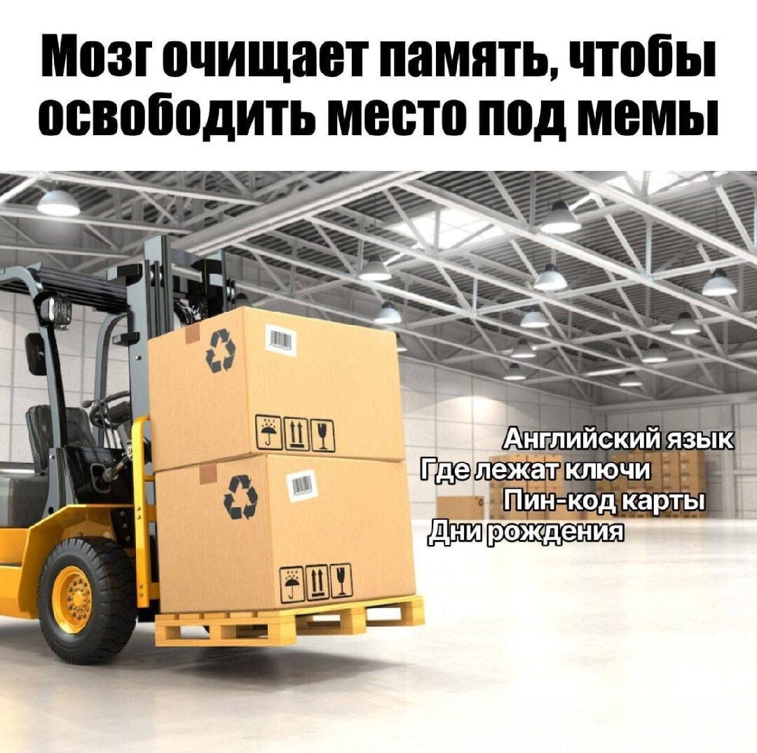Мозг чистит память: мемы важнее всего на свете!