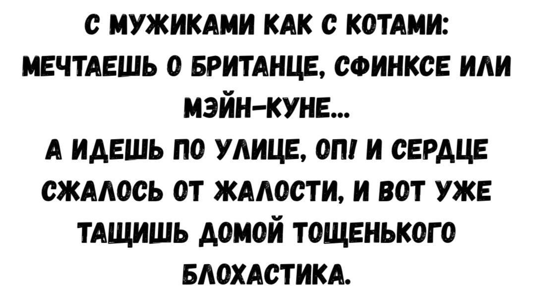 Мечтаешь о принце, а тащишь домой «блохастика»? Жизнь!