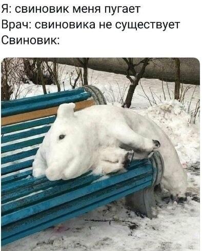 Когда врач сказал, что свиновика нет, но ты встретил его