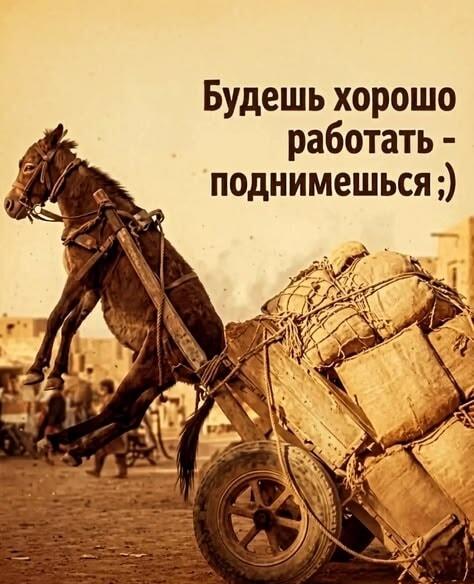 Когда обещали подъем, а ты просто поднял телегу: жиза!