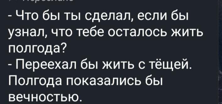 Как сделать полгода вечностью? Гениальный план зятя!