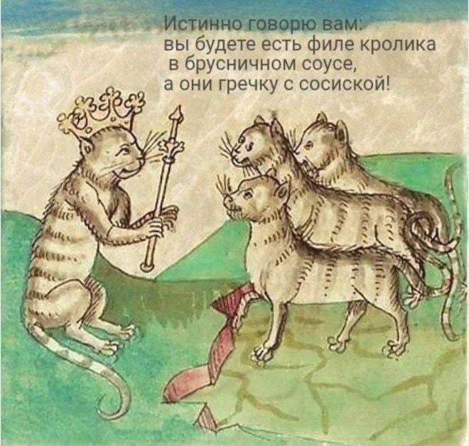 Кот-король о вашей судьбе: филе или гречка с сосиской?