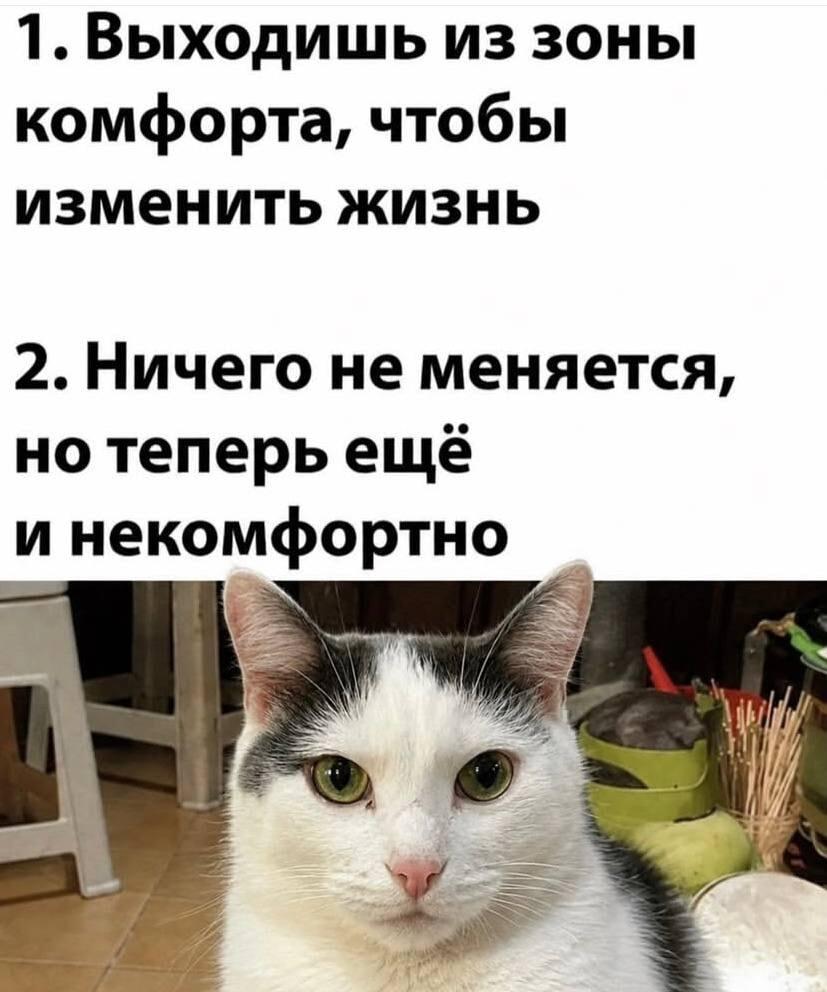 Выход из зоны комфорта: когда результат совсем не тот, что ждал