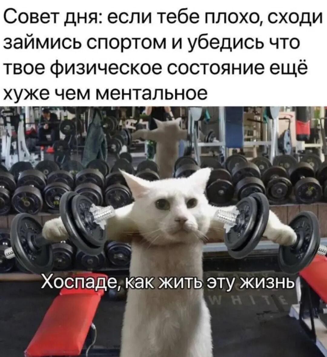 Совет дня: как спорт добьёт твое ментальное состояние!