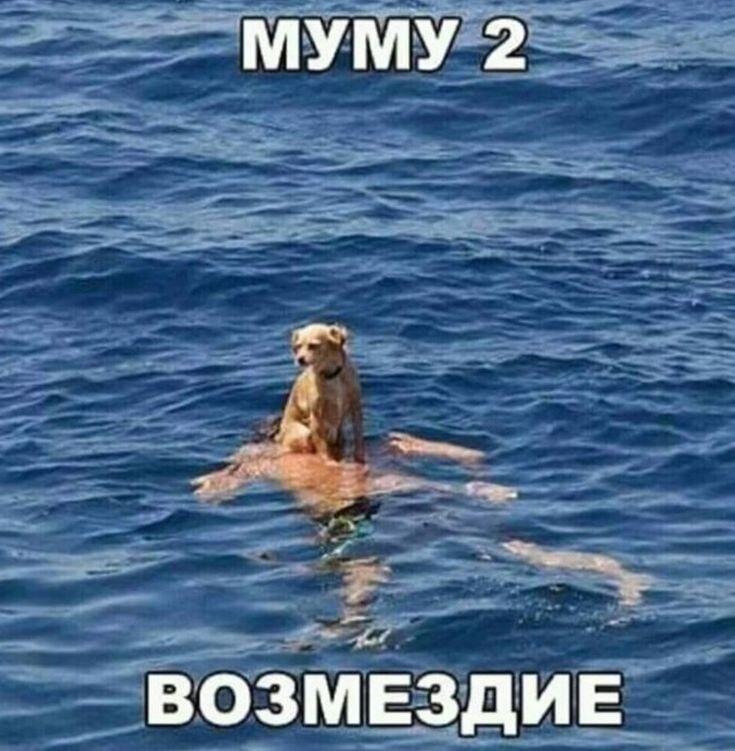 Муму 2: Возмездие пса за утопленную судьбу!