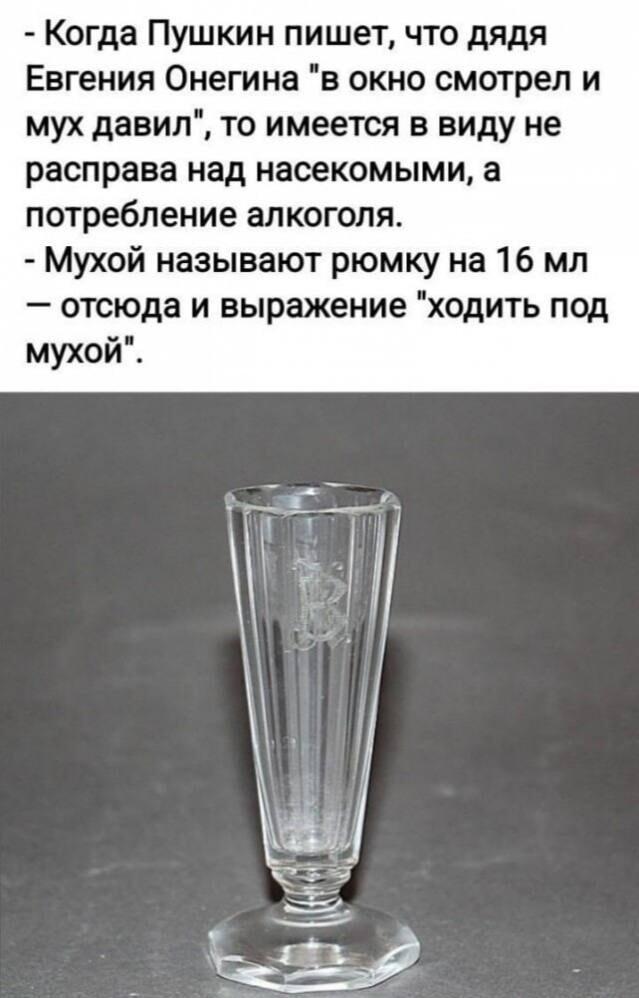 Пушкин и алкоголь: что значит 'мух давить' на самом деле?