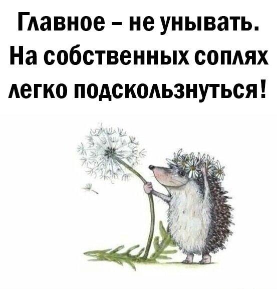 Не унывай: ёжик предупреждает о скользких соплях!
