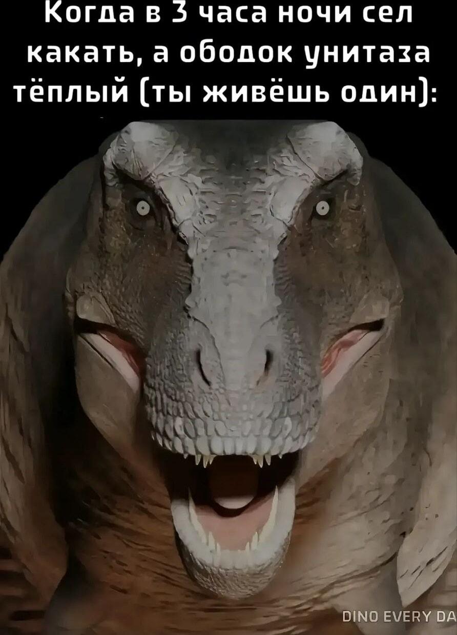 Ночной кошмар: кто согрел унитаз, если ты живёшь один?