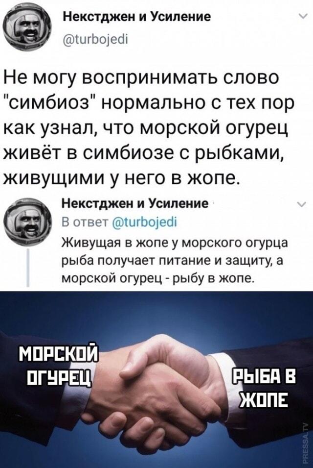 Морской огурец и рыба: самый странный симбиоз природы!