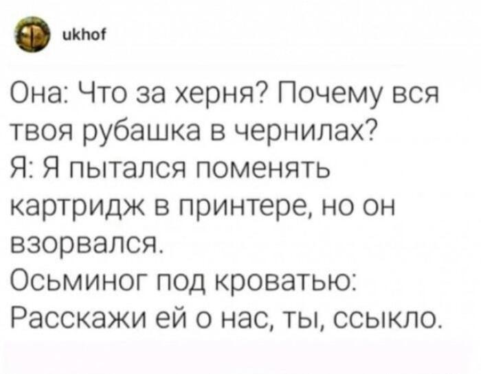 Осьминог под кроватью: самая неожиданная мужская отмазка