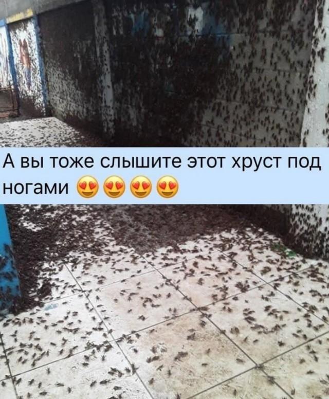 А вы тоже слышите этот хруст под ногами? Жуть!
