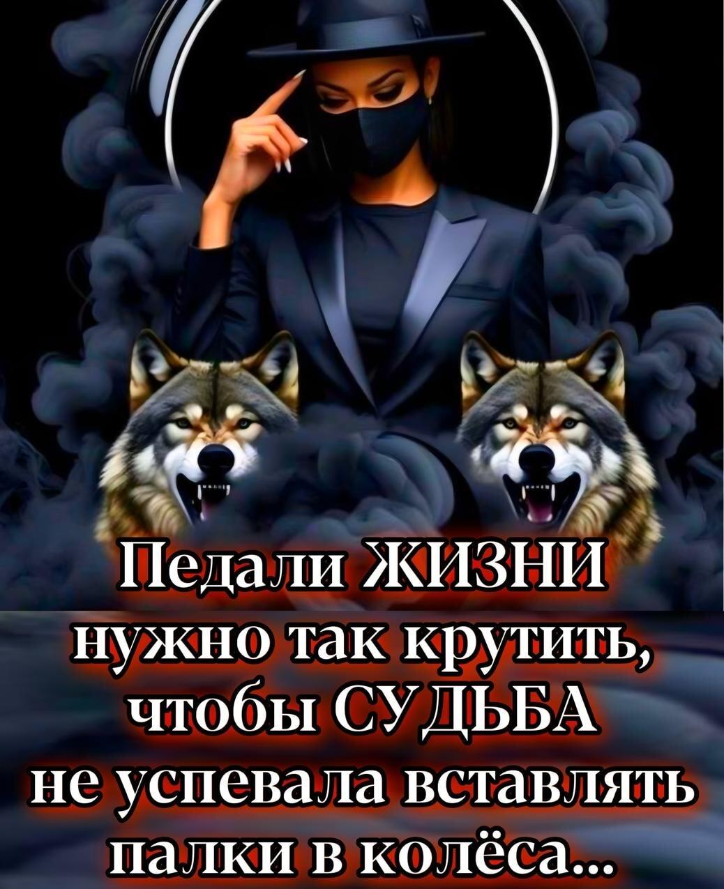 Крути педали жизни: судьба не догонит, волки помогут!