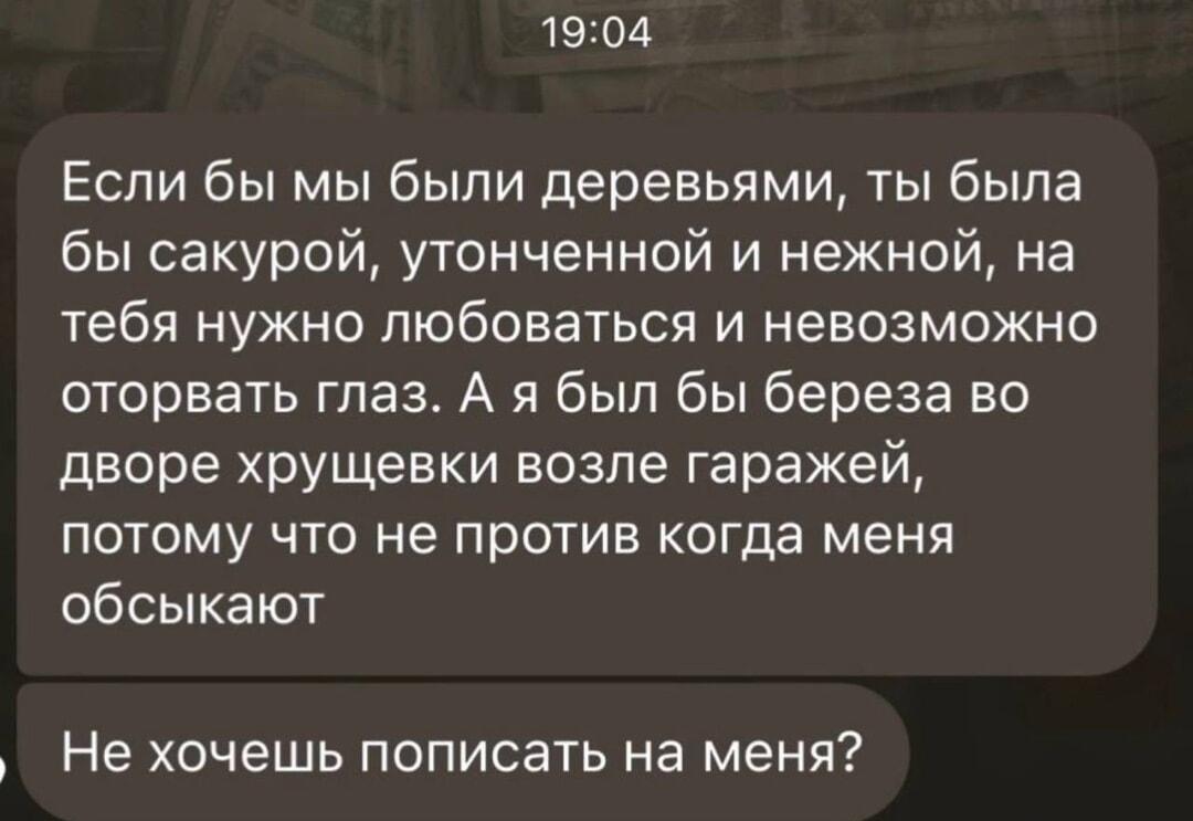 Романтика, береза и неожиданное предложение в чате