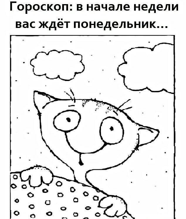 Гороскоп предсказал понедельник: кот в шоке, мы тоже!