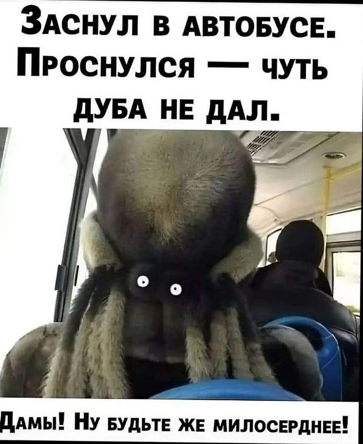 Заснул в автобусе: проснулся, а на голове меховой монстр!