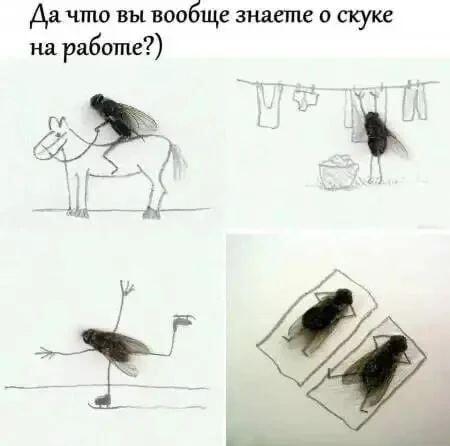 Да что вы вообще знаете о скуке на работе? Муха-креативщик!