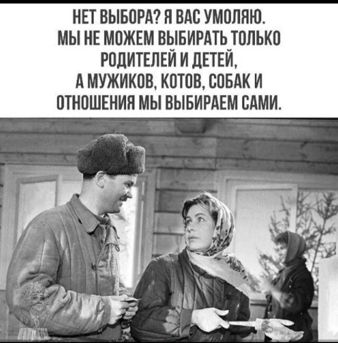 Когда говорят, что выбора нет: про мужчин, котов и отношения