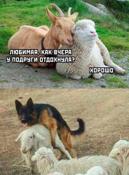 Когда жена говорит, что хорошо отдохнула у подруги: ожидание/реальность