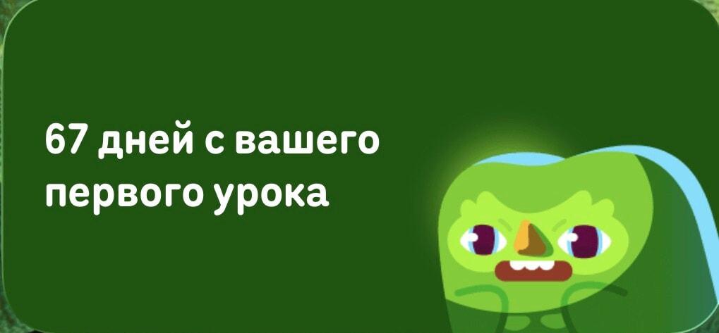 Дуолинго: 67 дней, а ты так и не выучил язык. Сова недовольна!