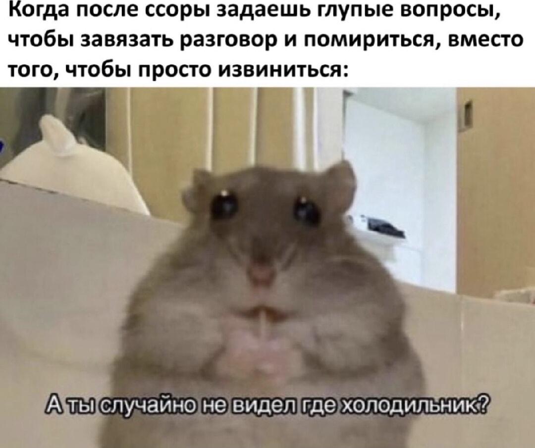 Гениальный способ помириться после ссоры: просто задай глупый вопрос!