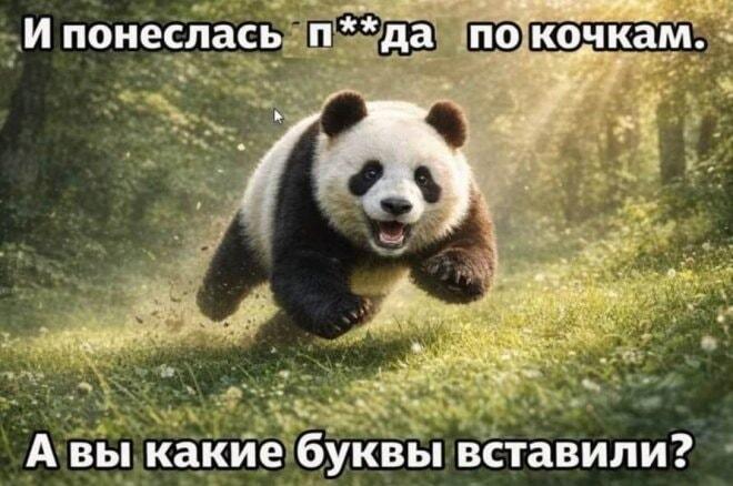 Панда, кочки и цензура: какие буквы вставили вы?