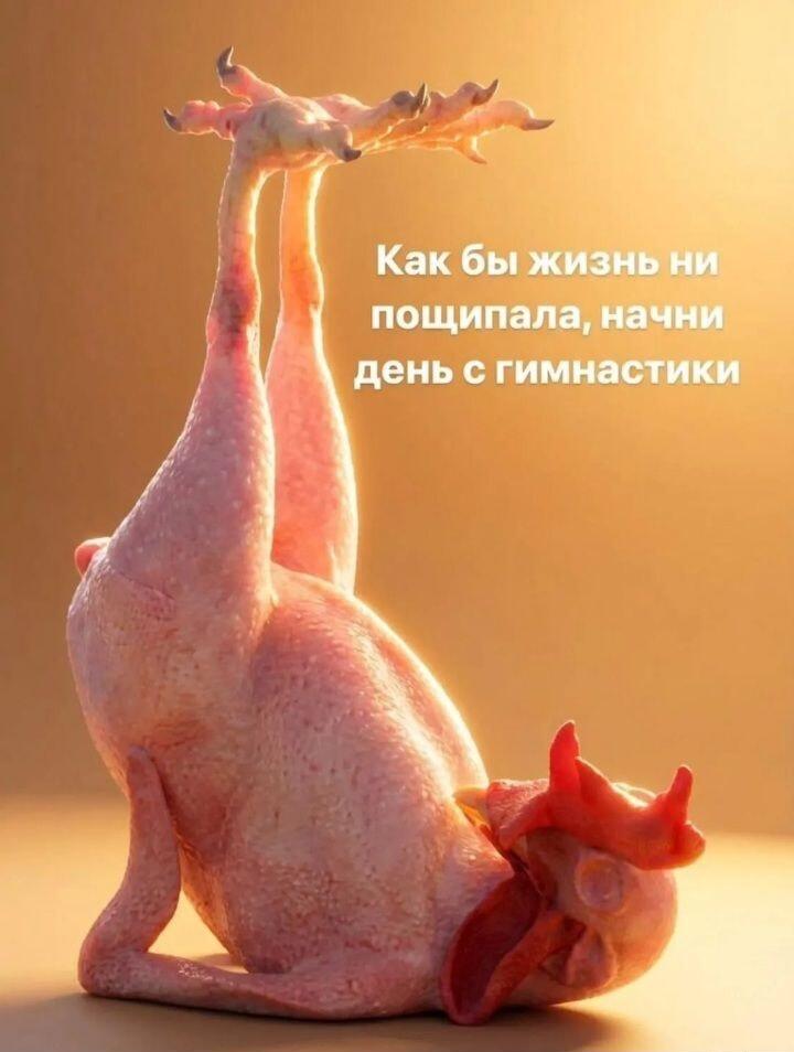 Жизнь пощипала? Начни день с гимнастики! Мотивация от курицы