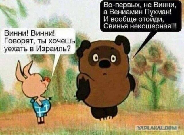 Винни-Пух собрался в Израиль? Свинья некошерная, отойди!