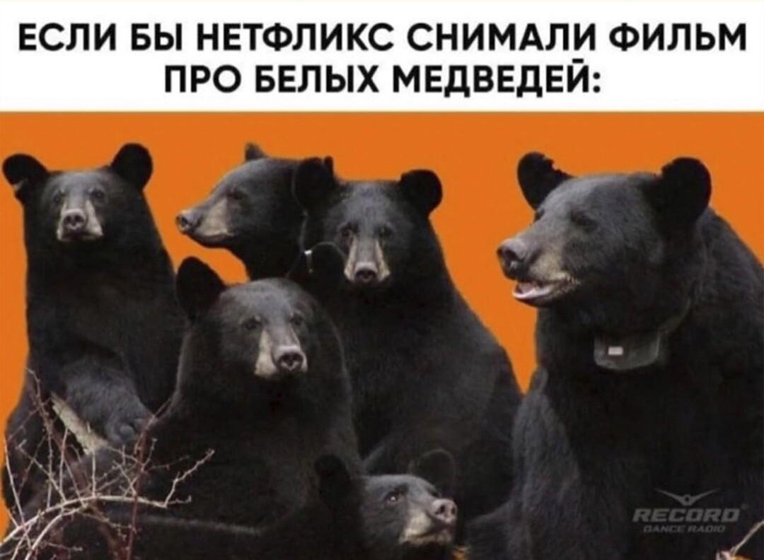 Netflix снимает про белых медведей: ждали одно, получили ЭТО!
