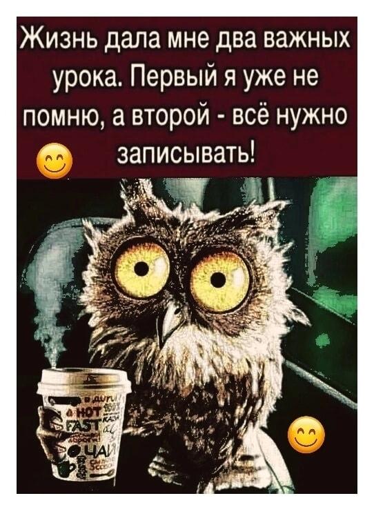 Сова и два урока жизни: один забыл, второй — записывай!