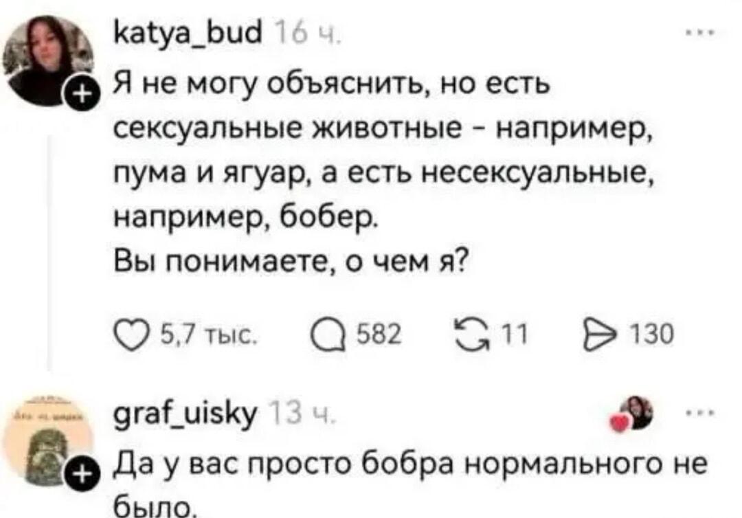 Бобер несексуальный? Этот комментарий изменит ваше мнение!