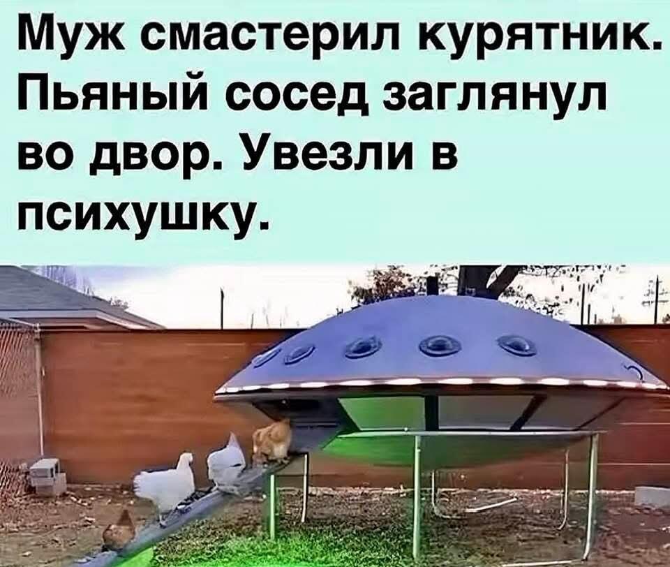 Муж построил курятник-НЛО: пьяный сосед попал в психушку!