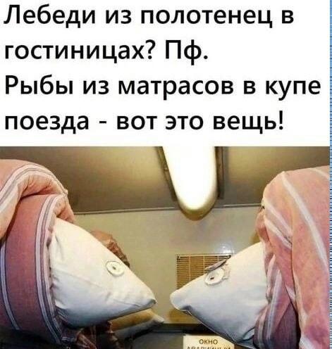Рыбы из матрасов в купе: забудьте лебедей из полотенец!