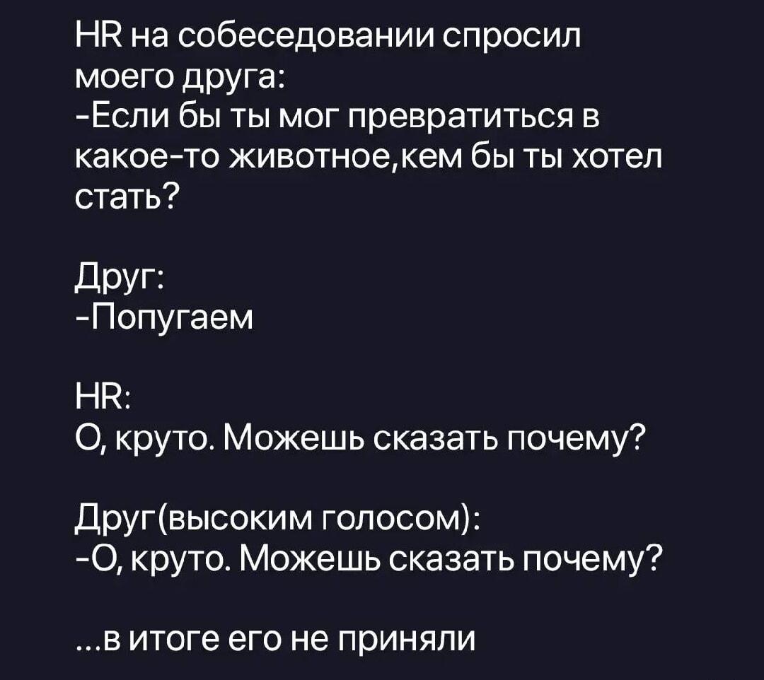 HR на собеседовании: выбор животного и неожиданный ответ друга