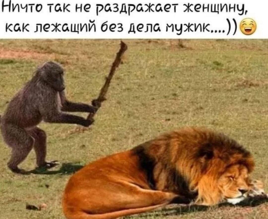 Когда муж лежит, а жена уже с палкой наготове
