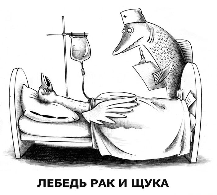 Лебедь, Рак и Щука: когда басня превращается в диагноз
