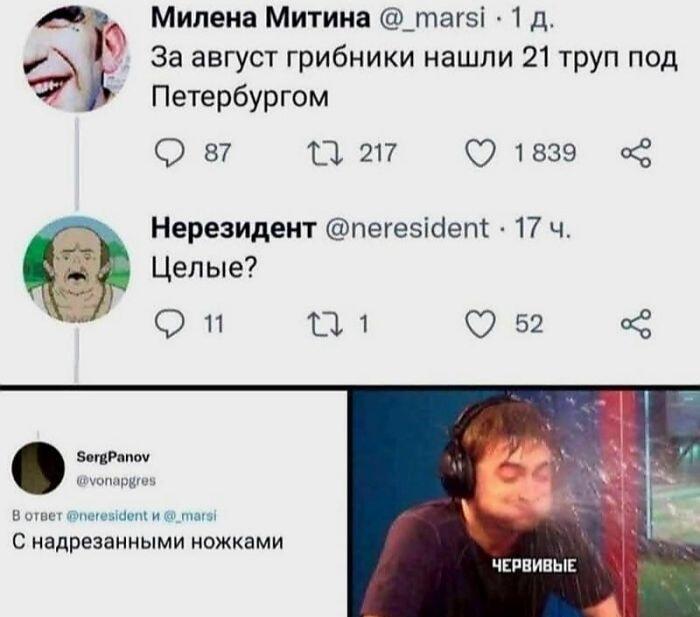 Грибники нашли 21 тело: вопрос о «целых ножках» взорвал сеть!