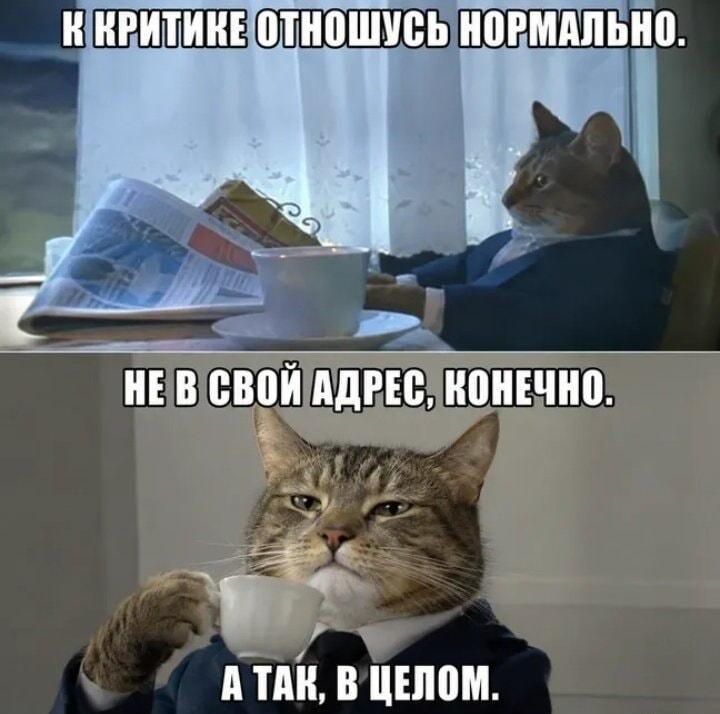 Мое отношение к критике: всегда готов, но есть один важный нюанс!