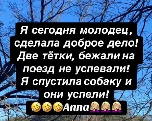 Собака-мотиватор: как две тетки на поезд успели!