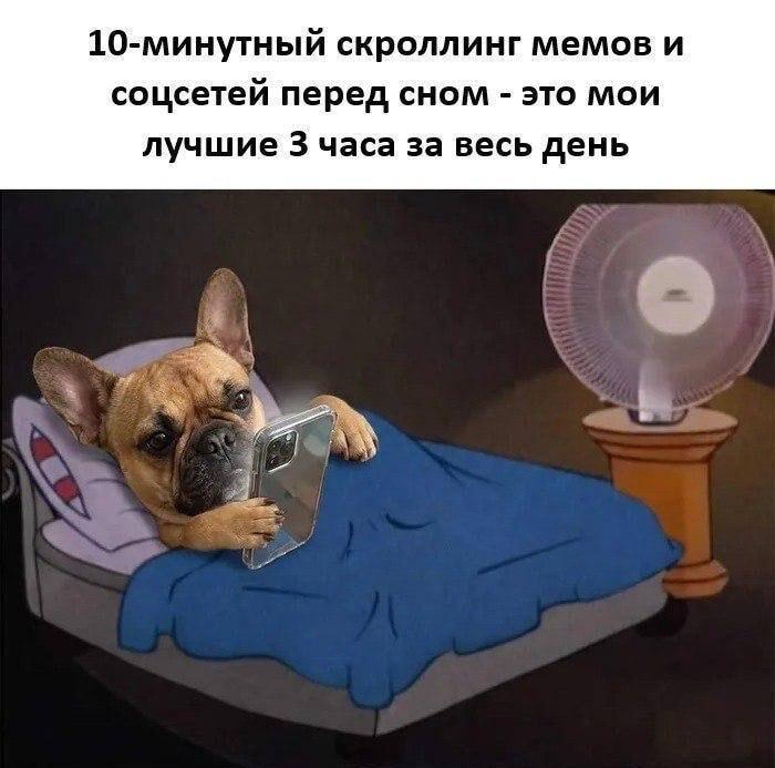 Когда 10 минут перед сном превращаются в лучшие 3 часа