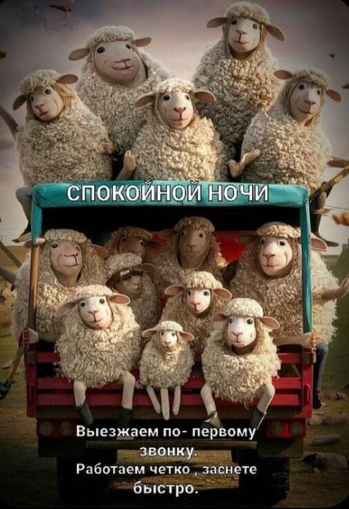 Спокойной ночи! Бригада овечек уже выехала по первому звонку